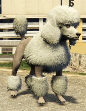 Poodle-GTAV-PS4.png