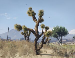 JoshuaTree-GTAV-SS1.jpg
