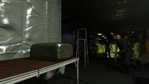 LastPlayFastPeddling-GTAO-SS4.png