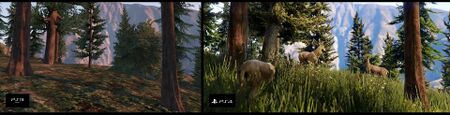 PS3 vs PS4
