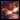 Heimerdinger