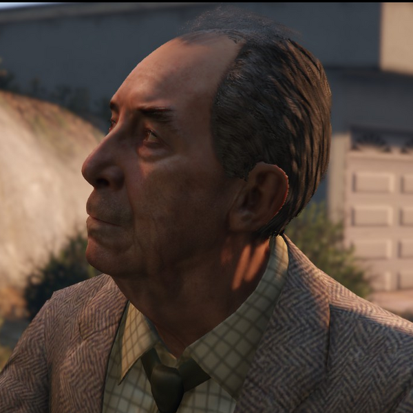 파일:Nigel GTAVpc Portrait.png