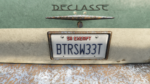 CustomLicensePlates-GTAOe-BTRSW33T.png
