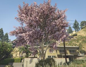 JacarandaTree-GTAV-SS1.jpg