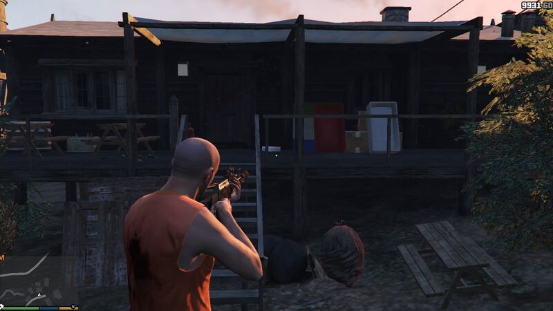 파일:AltruistCamp-GTAV-Briefcase-2.jpg