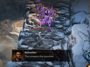 Unusual Cold2.jpg