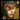 Cassiopeia