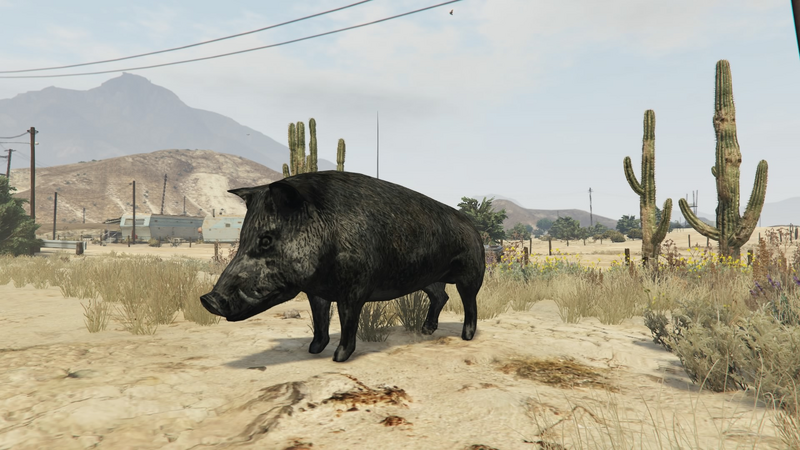 파일:Peyote Plants Animals GTAVe Boar.png