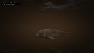 Peyote Plants Animals GTAVe Dolphin.png