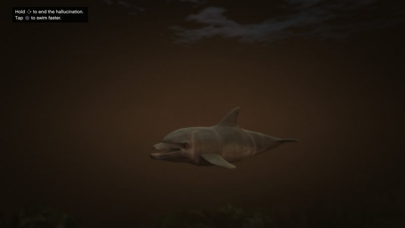 파일:Peyote Plants Animals GTAVe Dolphin.png