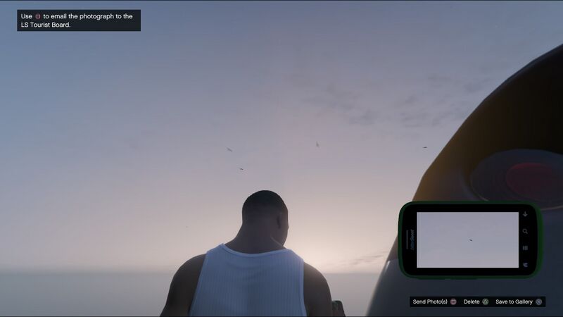 파일:Wildlife Photography Challenge GTAVe Crow.jpg