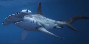 Hammerhead Sharks GTAVe.jpg