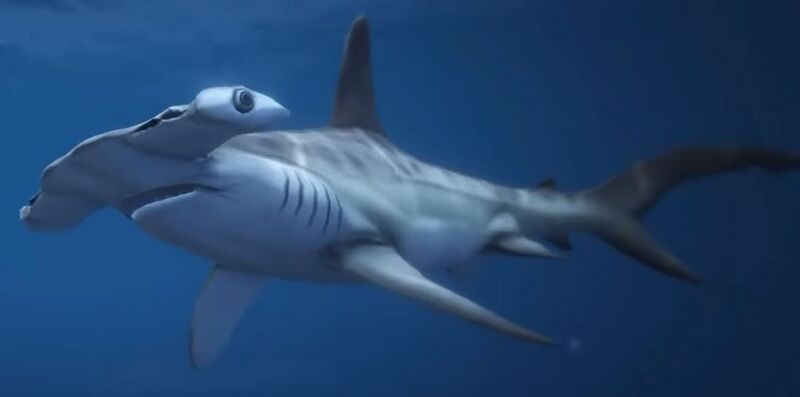 파일:Hammerhead Sharks GTAVe.jpg