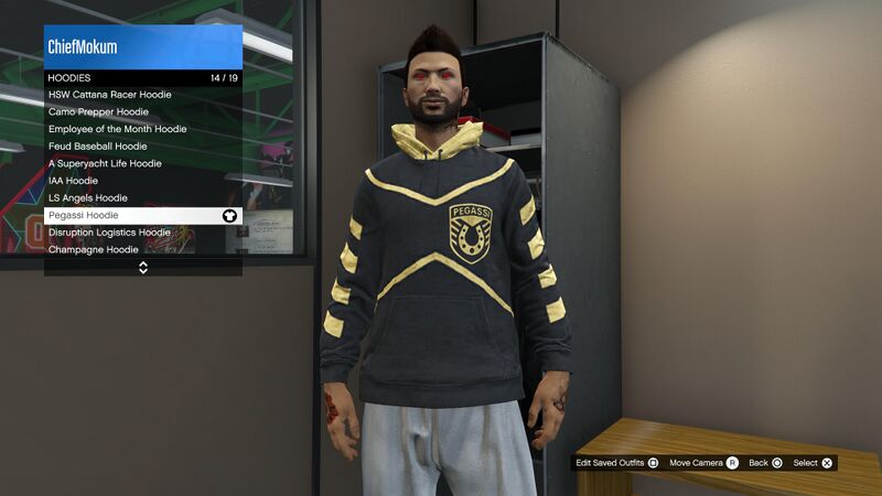 파일:SpecialClothing-GTAOee-CareerProgress-PegassiHoodie.jpg