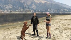 TheLostDog-GTAV.jpg