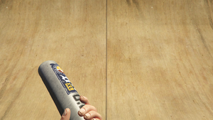 BaseballBat-GTAV-FirstPerson.png