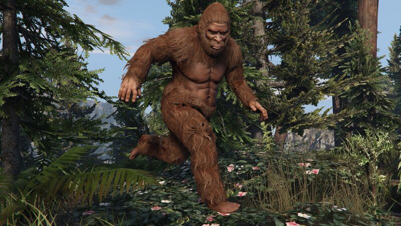 파일:Peyote Plants Animals GTAVe Sasquatch.png.jpg