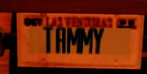 CustomLicense-GTASA-Tammy.jpg