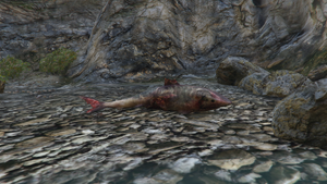 Sharks-GTAO-Beached-CayoPerico.png