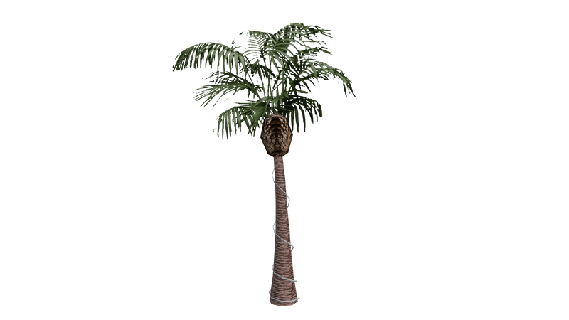 파일:Beta-GTASA-Props-LasVenturasNightTreeB02.png