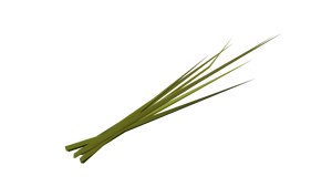 Beta-GTASA-Weapons-FlowerB.png