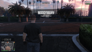 DJRequests-Moodymann-GTAO-CollectTheMerchandise-Completed.png