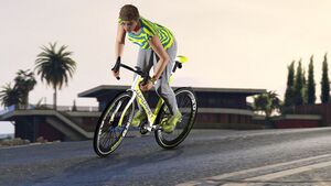 WhippetRaceBike-GTAO-RGSC-Action.jpg