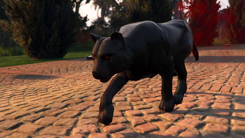 파일:CayoPericoSurvival-GTAOee-PossesedPanther.jpg