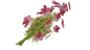 Flowers-GTASA.png