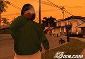 IGN 스크린샷, 2004년 7월 30일.