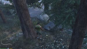GoldenPeyote-GTAV-Tuesday.jpg