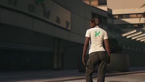CareerProgress-GTAOee-KnoWayTee.jpg