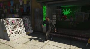 Gta-5-bong-shop.jpg