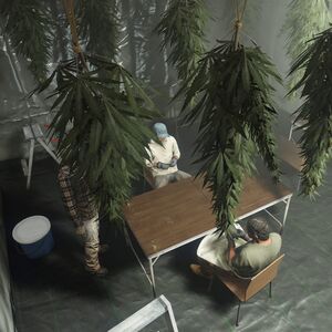 GTA+-April-2025-GTAOee-BikerBusinessDiscount.jpg