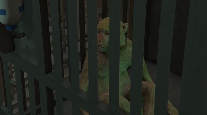파일:Monkey-GTAV.jpg
