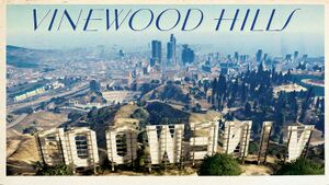 Neighborhood-vinewood-hills.jpg