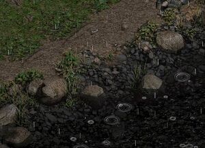 Rogue Encampment River.JPG