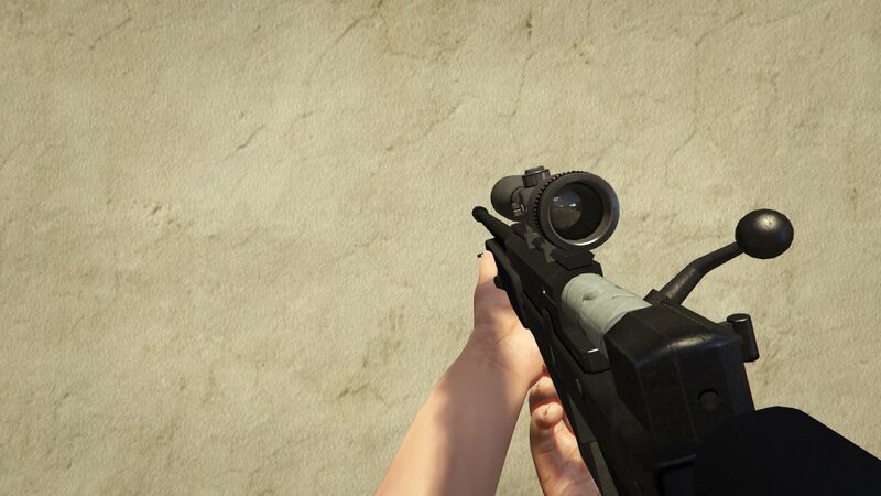 파일:SniperRifle-GTAV-Reloading.jpg