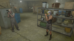 이타주의자 컬트