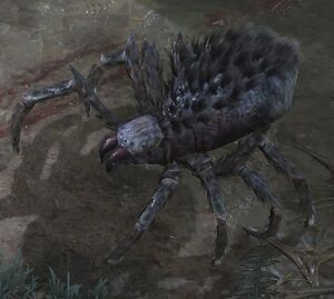 Arachnid Horror.jpg
