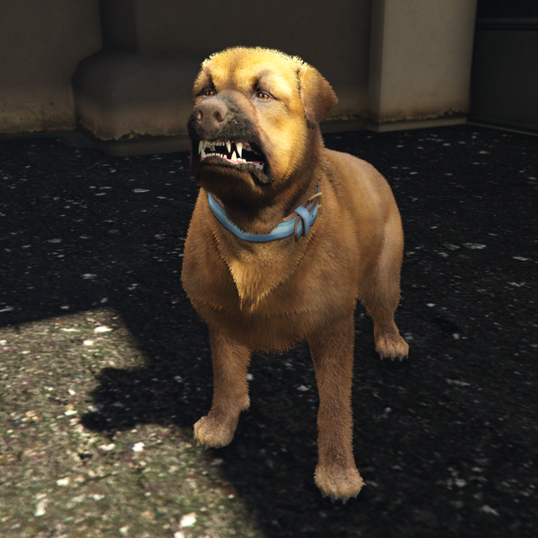 파일:Dexie-GTAV-Portrait-Aggressive.png