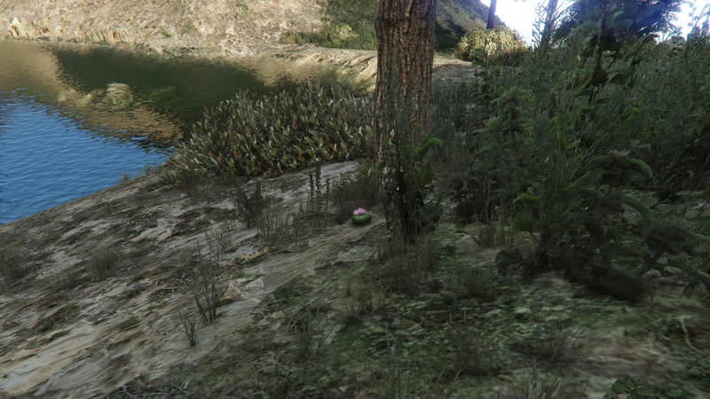 파일:CorrieLake-GTAVe-PeyotePlant.png