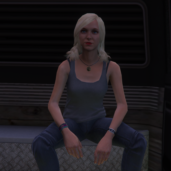 파일:LaceyJonas-GTAO-PoliceTransporter.png