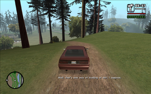 MadeInHeaven-GTASA-SS23.png