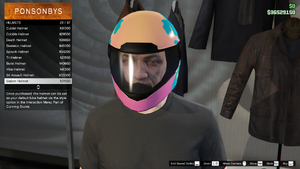 CunningStunts-GTAO-MaleHats-Helmets15-SlalomHelmet.png