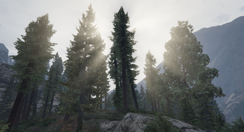 파일:GiantSequoia-GTAV-CassidyCreek.png