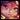 Tristana