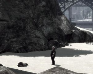 BoulevardBeach-GTAIV-PoliceBrutality.jpg