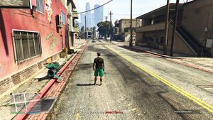 TorchTheWeedFarms-GTAOee-SS3.jpg