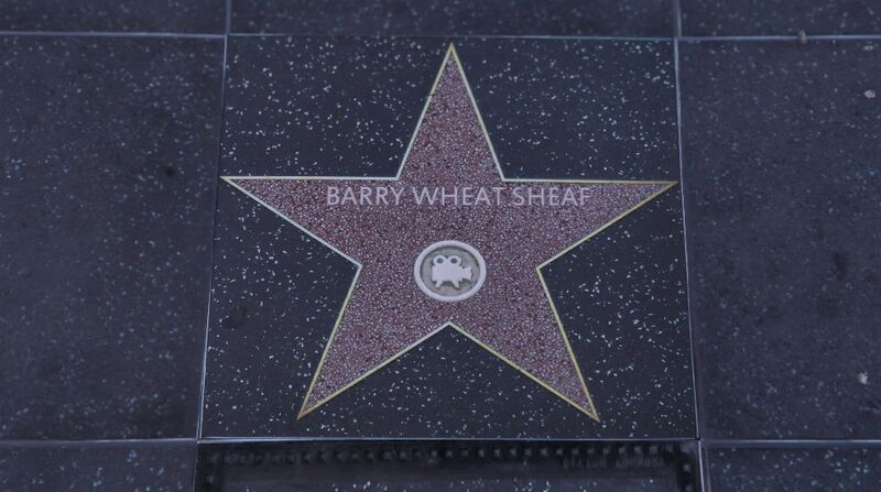 파일:WalkofFame-GTAVee-BarryWheatsheaf.jpg